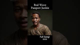 Rod Wave  Passport Junkie  AI Cover  Emotional Vibes 🎤 [upl. by Leterg896]