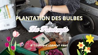 Plantation des bulbes du Printemps  Je texplique comment faire 🌷 [upl. by Hardin59]