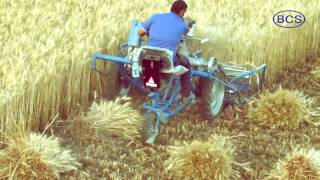 BCS 3 Wheel Reaper Binder Wheat Harvesting Solution [upl. by Carine983]