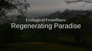 Ecological Frontlines Reforesting Paradise [upl. by Procto]