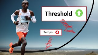 Lactate Threshold vs Tempo Running  The SCIENCE of Training Zones [upl. by Agnesse311]