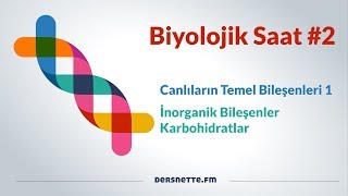 Biyolojik Saat 2  Canlıların Temel Bileşenleri 1 [upl. by Ayekehs]