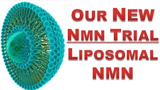 Our New NMN Trial  Liposomal NMN [upl. by Annek]