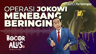 Manuver Jokowi Menggulingkan Airlangga Hartarto untuk Menguasai Golkar  Bocor Alus Politik [upl. by Gersham]