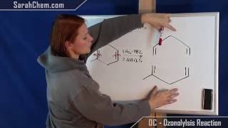 Ozonolysis Reaction [upl. by Fifine506]