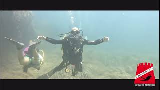 buceo en isla grosa [upl. by Yntrok]