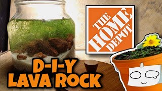 DiY Lava Rock  Jar Aquarium [upl. by Eaj]