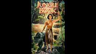 Opening to The Jungle Book 1942 Version 1995 VHS Bad Tracking [upl. by Thurnau759]