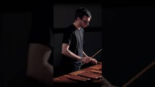 Nagoya Marimbas Part 3 music percussionensemble percussion classicalmusic stevereich [upl. by Nij]