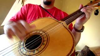 Guitarron Solo El Cascabel Improvisation [upl. by Enale]