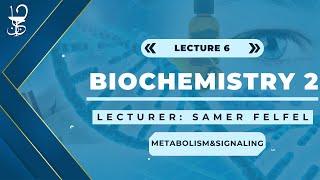 Biochemistry 2 Metabolism and Signaling [upl. by Buote]