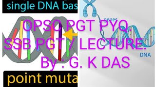 Point mutation  Gene mutation  SSB PGT BIOLOGY  SSB PGT ZOOLOGY QUESTION [upl. by Yrekcaz]