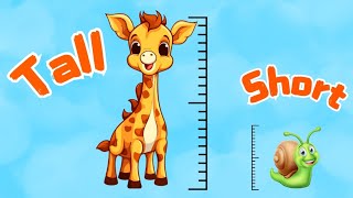 Tall and short song  kids song  nursery rhymes opposite song  Fun learning with Mini Mum Kids Tv [upl. by Lazarus]