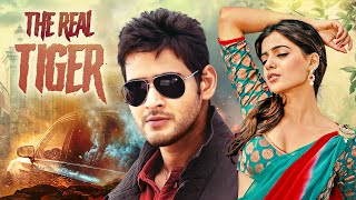 Mahesh Babu THE REAL TIGER 2011 Samantha Ruth Prabhu New Release Hindi Dubbed Movie  Prakash Raj [upl. by Leunamme244]