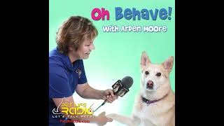 Oh Behave  Episode 531 Love Pets Well Mark Your Calendar  the Workman 2025 Calendars Are Ava [upl. by Gery]