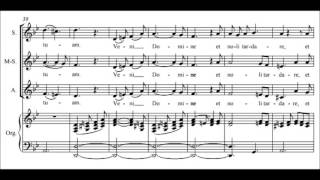 Felix Mendelssohn  Veni Domine Op 391 [upl. by Malita930]