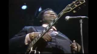 BB King  Live in Dallas 1983  Full Concert [upl. by Nero866]