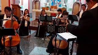 2mov concierto Vivaldi en solm para 2 violonchelos Gabriela Ruque y wilfrido Ruque [upl. by Eniamrahs]