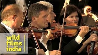 Trumpet Concerto Haydn 2nd movement by Andreas Ottl [upl. by Waers797]