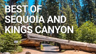 Top Things You NEED To Do In Sequoia amp Kings Canyon National Park [upl. by Marita]