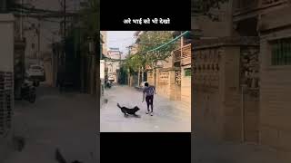 Are bhai ko bhi dekho 🐕😂😂 [upl. by Hajar]