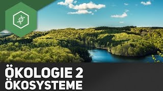 Ökosysteme  Ökologie 2 [upl. by Alberta]