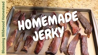 How to Make EASY Beef Jerky in a Dehydrator [upl. by Amati95]