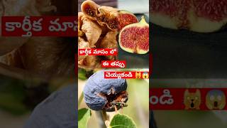 అంజీర్ నాన్ వెజ్ తో సమానం 🙀😱karthikamasam november telugu facts today trending [upl. by Hope]