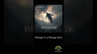 Michael Pos  Stranger in a Strange Land  OFFICIAL AUDIO michaelpos eclecticrootsgroove [upl. by Campney]