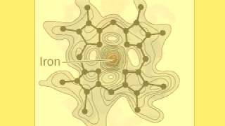 Structure determination of proteins by X ray Crystallography [upl. by Speroni]