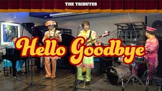 Hello Goodbye「ハロー・グッドバイ」 The Tributes 「トリビューツ」Beatles cover [upl. by Origra974]