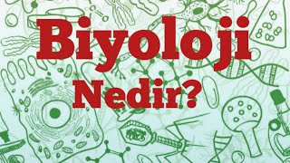 Biyoloji Nedir [upl. by Hploda83]