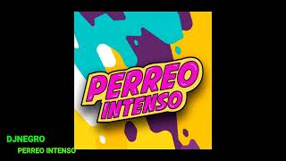 MIX PERREO INTENSO 1111 [upl. by Marje]