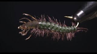 Fly Tying a Olive Caddis Larva [upl. by Yssim]