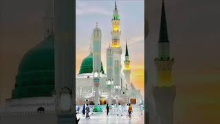 Meri dhadkano tumviralshort islamicvideomadeenavideo tahiravlogandlifestyle [upl. by Skoorb949]