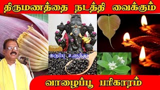 திருமணத்தை நடத்தி வைக்கும்  வாழைப்பூ பரிகாரம்  தாந்திரீக பேரரசர் மருதமலை குருஜி [upl. by Ttocs]