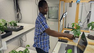 Global collaborations pioneering cowpea phenotyping and sequencing for drought resilience [upl. by Nirb237]