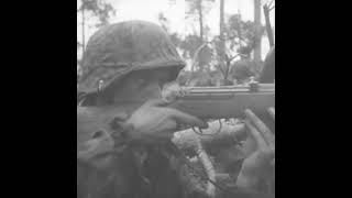 Gewehr 43 in action on the Eastern Front in 1944 [upl. by Ecinahs]