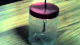 charging and discharging of electroscope by finger touching [upl. by Rego593]