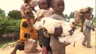 Uganda New Refugee Camp and Arrivals from DRC [upl. by Hayikat797]