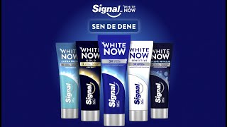 Signal White Now 💙 [upl. by Andree]