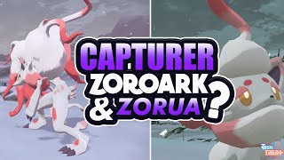 COMMENT CAPTURER ZOROARK et ZORUA DHISUI Pokémon LegendsArceus [upl. by Yelsna]