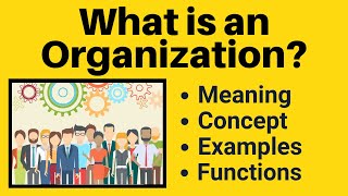 What is Organization  What is Organisation  Organization Meaning  Organization Kya Hota Hai [upl. by Airpac822]