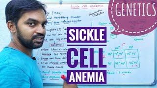 Sickle cell anemia  Mendelian disorder [upl. by Elimay808]