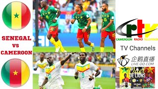 Senegal vs Cameroon Live Stream TV Channels Friendly Football Match Today Lions en Direct Cameroun [upl. by Naivat]