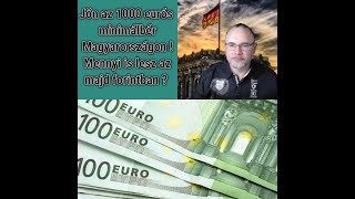 Jöhet Magyarországon az 1000 eurós minimálbér Mennyi is lesz az forintban [upl. by Aesoh246]