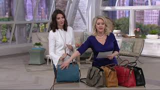 Tignanello Italia Leather Convertible Satchel Handbag  Carson on QVC [upl. by Wilkinson80]