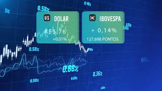 Indicadores Econômicos de 12112024 [upl. by Ellenehc]