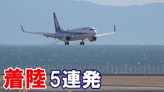 飛行機着陸5連発 セントレア中部国際空港 [upl. by Akirahs]