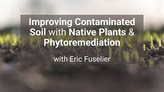 Improving Contaminated Soil with Native Plants amp Phytoremediation with Eric Fuselier [upl. by Rosco]